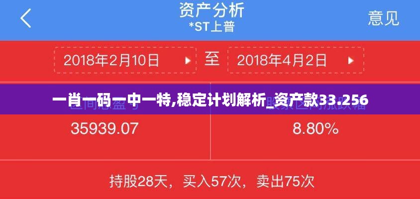 一肖一碼一中一特,穩(wěn)定計劃解析_資產款33.256