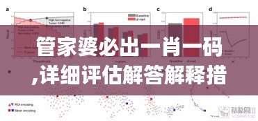 管家婆必出一肖一碼,詳細(xì)評估解答解釋措施_跨界制19.781