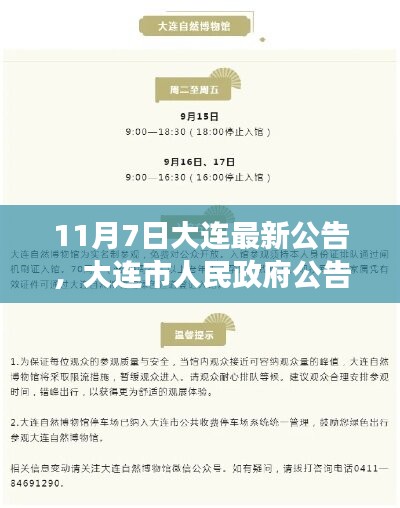 大連市政府公告解讀，最新政策動態(tài)及要點解析（十一月七日公告版）