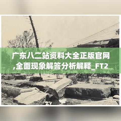 廣東八二站資料大全正版官網(wǎng),全面現(xiàn)象解答分析解釋_FT23.199