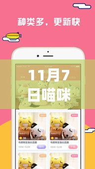 喵咪app最新版下載，共度溫馨陪伴日