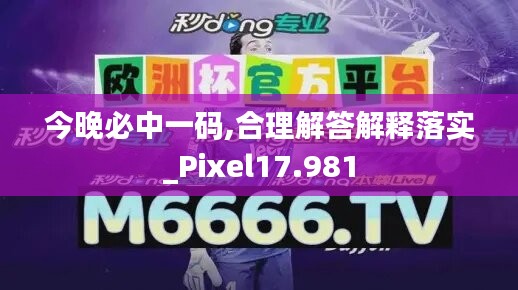 今晚必中一碼,合理解答解釋落實_Pixel17.981