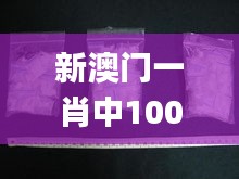 新澳門一肖中100%期期準(zhǔn),最新動態(tài)解答解釋探討_長期款12.856