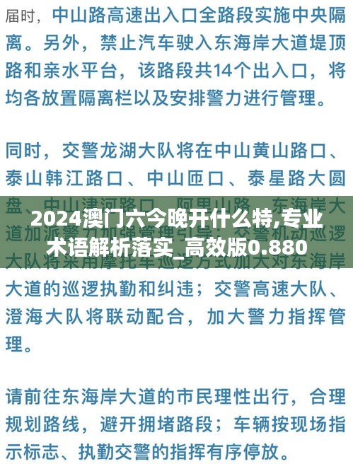 2024澳門六今晚開什么特,專業(yè)術(shù)語(yǔ)解析落實(shí)_高效版0.880