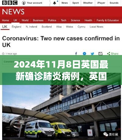 英國最新肺炎疫情深度觀察，2024年11月8日的最新確診病例分析