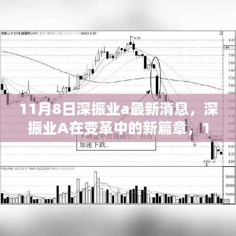 深振業(yè)A變革新篇章，11月8日最新消息回顧與影響分析