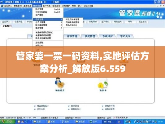 管家婆一票一碼資料,實地評估方案分析_解放版6.559