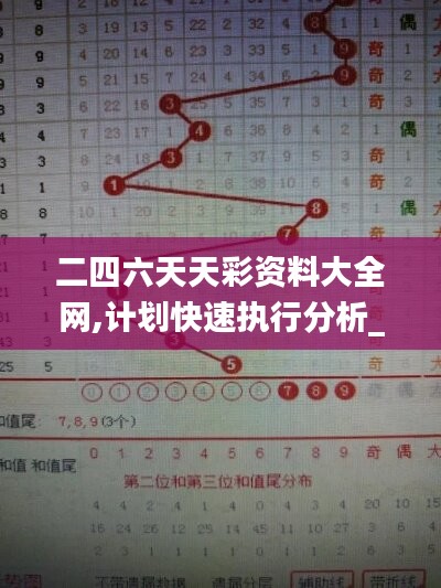 二四六天天彩資料大全網(wǎng),計(jì)劃快速執(zhí)行分析_T50.154