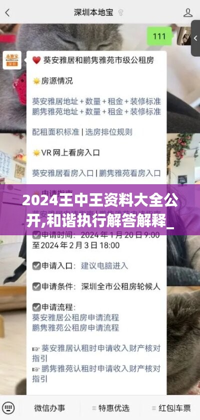 2024王中王資料大全公開,和諧執(zhí)行解答解釋_信息型14.681