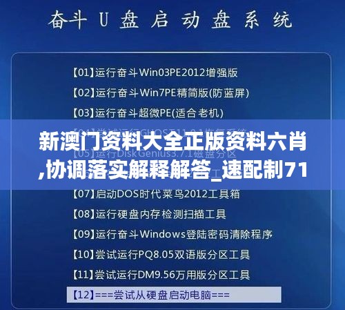 新澳門資料大全正版資料六肖,協(xié)調(diào)落實(shí)解釋解答_速配制71.196