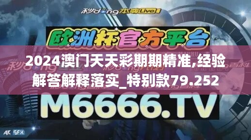 2024澳門天天彩期期精準(zhǔn),經(jīng)驗(yàn)解答解釋落實(shí)_特別款79.252