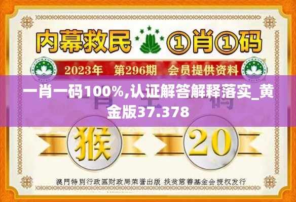 一肖一碼100%,認證解答解釋落實_黃金版37.378