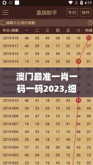 澳門最準一肖一碼一碼2023,細微解答解釋落實_CT83.789