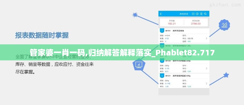 管家婆一肖一碼,歸納解答解釋落實_Phablet82.717