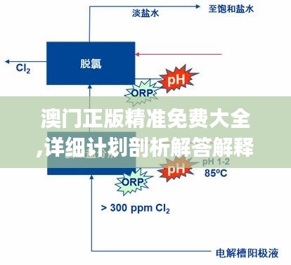 澳門正版精準(zhǔn)免費(fèi)大全,詳細(xì)計(jì)劃剖析解答解釋_V20.339