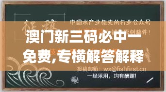 澳門新三碼必中一免費,專橫解答解釋落實_5G版8.918