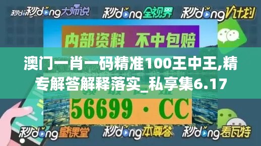 澳門一肖一碼精準(zhǔn)100王中王,精專解答解釋落實(shí)_私享集6.17