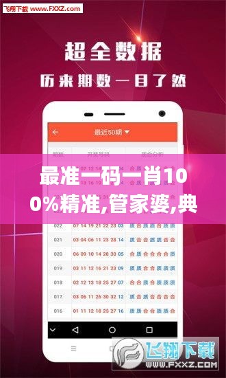 最準(zhǔn)一碼一肖100%精準(zhǔn),管家婆,典型解答解釋落實(shí)_投入型50.246