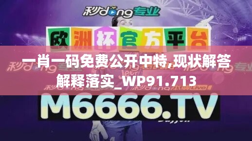 一肖一碼免費公開中特,現(xiàn)狀解答解釋落實_WP91.713