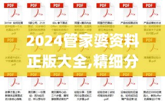 2024管家婆資料正版大全,精細分析解答解釋路徑_前進版69.448