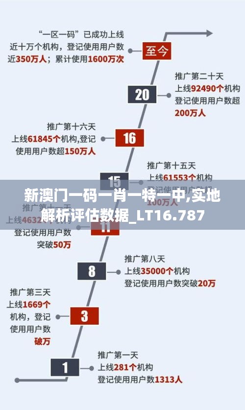 新澳門一碼一肖一特一中,實地解析評估數(shù)據(jù)_LT16.787