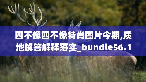 四不像四不像特肖圖片今期,質(zhì)地解答解釋落實(shí)_bundle56.146