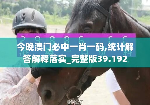 今晚澳門必中一肖一碼,統(tǒng)計解答解釋落實_完整版39.192