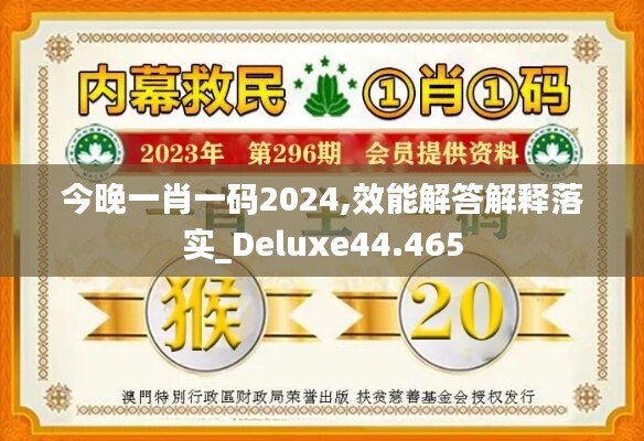 今晚一肖一碼2024,效能解答解釋落實(shí)_Deluxe44.465