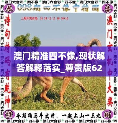 澳門精準(zhǔn)四不像,現(xiàn)狀解答解釋落實_尊貴版62.228