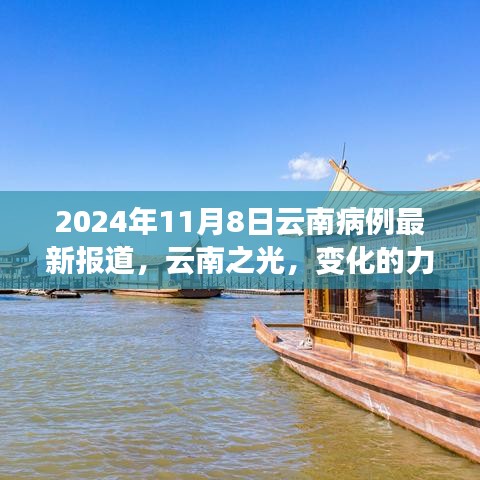 云南病例最新報道啟示錄，變化與知識的力量，云南之光——2024年11月8日病例分析報告