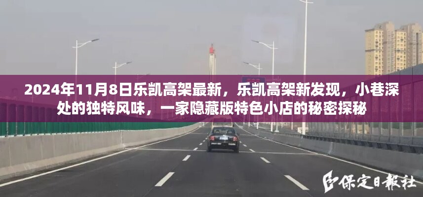 樂(lè)凱高架新發(fā)現(xiàn)，隱藏版特色小店探秘之旅（2024年11月8日）