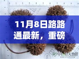 重磅揭秘，11月8日路路通最新動(dòng)態(tài)前沿資訊一覽