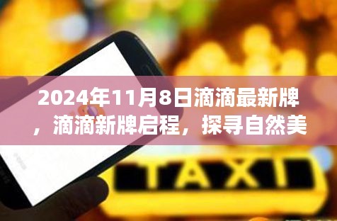 滴滴新啟程，探尋自然美景的心靈寧?kù)o之旅（2024年11月8日）