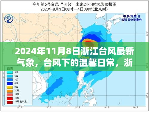 浙江臺(tái)風(fēng)下的溫馨日常與深厚友情，最新氣象與臺(tái)風(fēng)記憶