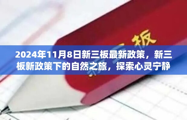 新三板新政策下的自然之旅，探索心靈寧靜的奇妙旅程（2024年11月8日最新政策解讀）