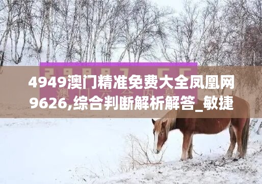 4949澳門精準(zhǔn)免費(fèi)大全鳳凰網(wǎng)9626,綜合判斷解析解答_敏捷版DCF589.19