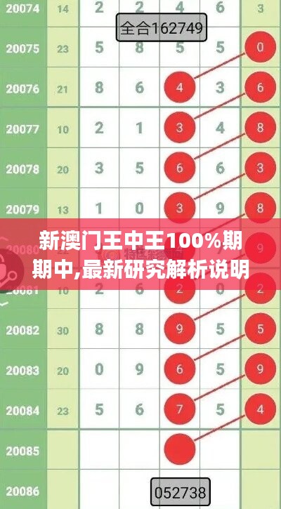 新澳門王中王100%期期中,最新研究解析說(shuō)明_探險(xiǎn)版JXY33.67