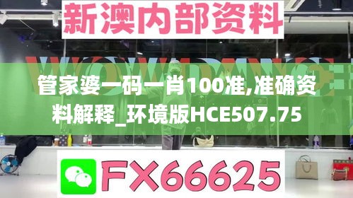 管家婆一碼一肖100準(zhǔn),準(zhǔn)確資料解釋_環(huán)境版HCE507.75