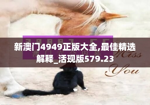 新澳門4949正版大全,最佳精選解釋_活現(xiàn)版579.23