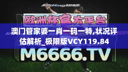 澳門管家婆一肖一碼一特,狀況評估解析_極限版VCY119.84