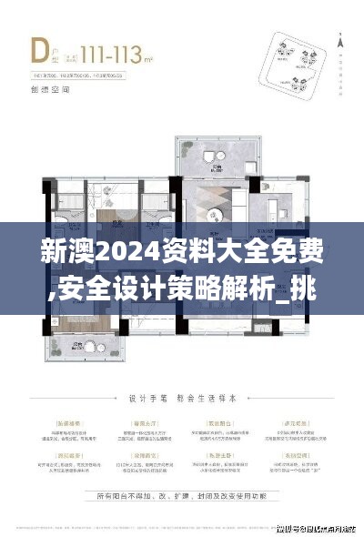 新澳2024資料大全免費(fèi),安全設(shè)計(jì)策略解析_挑戰(zhàn)版LRU818.02