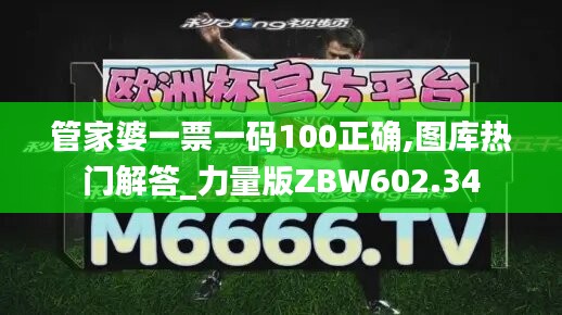 管家婆一票一碼100正確,圖庫(kù)熱門(mén)解答_力量版ZBW602.34