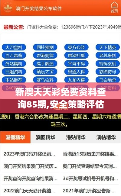 新澳天天彩免費資料查詢85期,安全策略評估_驅(qū)動版DFJ736.86