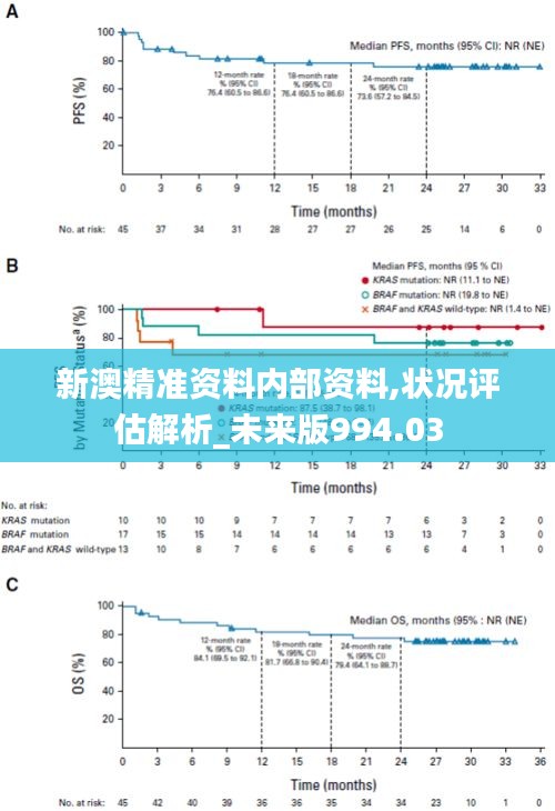 新澳精準資料內(nèi)部資料,狀況評估解析_未來版994.03