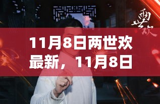 11月8日兩世歡最新，多元觀點(diǎn)下的深度探析