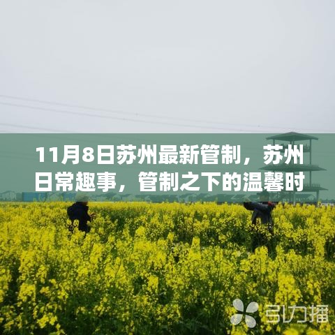 蘇州最新管制下的日常趣事與溫馨時(shí)光