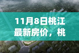 桃江最新房價測評報告，深度解析市場態(tài)勢與測評報告（11月8日）