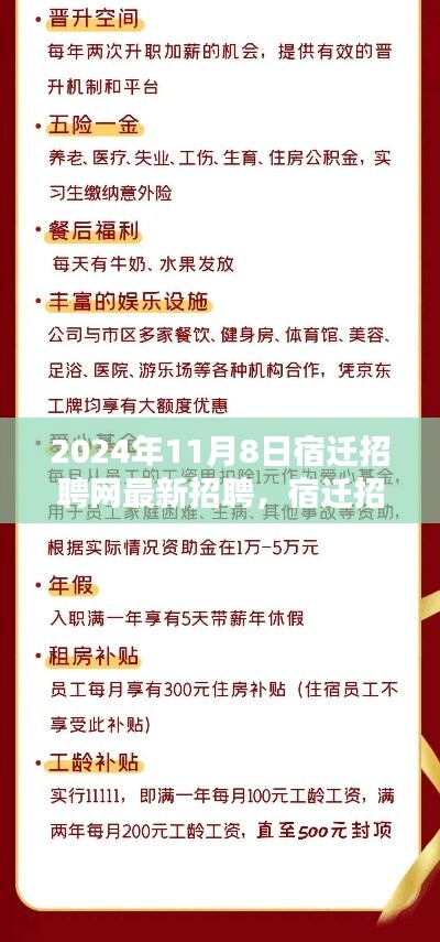 2024年11月8日宿遷招聘網(wǎng)盛況紀實，聚焦最新職業(yè)機遇與影響