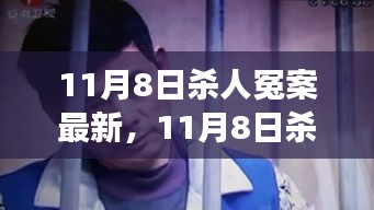 11月8日殺人冤案揭秘，真相、深度解析與司法公正的思考