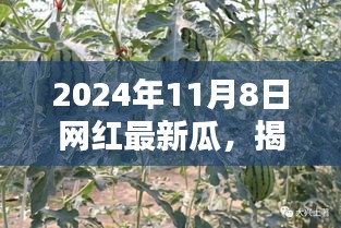 聚焦網(wǎng)紅圈動(dòng)態(tài)，揭秘網(wǎng)紅最新瓜深度解析，一網(wǎng)打盡網(wǎng)紅圈新動(dòng)態(tài)（深度報(bào)道）